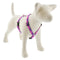 Lupine Reflective Roman Dog Harness 3/4" Wide 12"-20" Girth Pink Paws - Poudre Pet and Feed Supply
